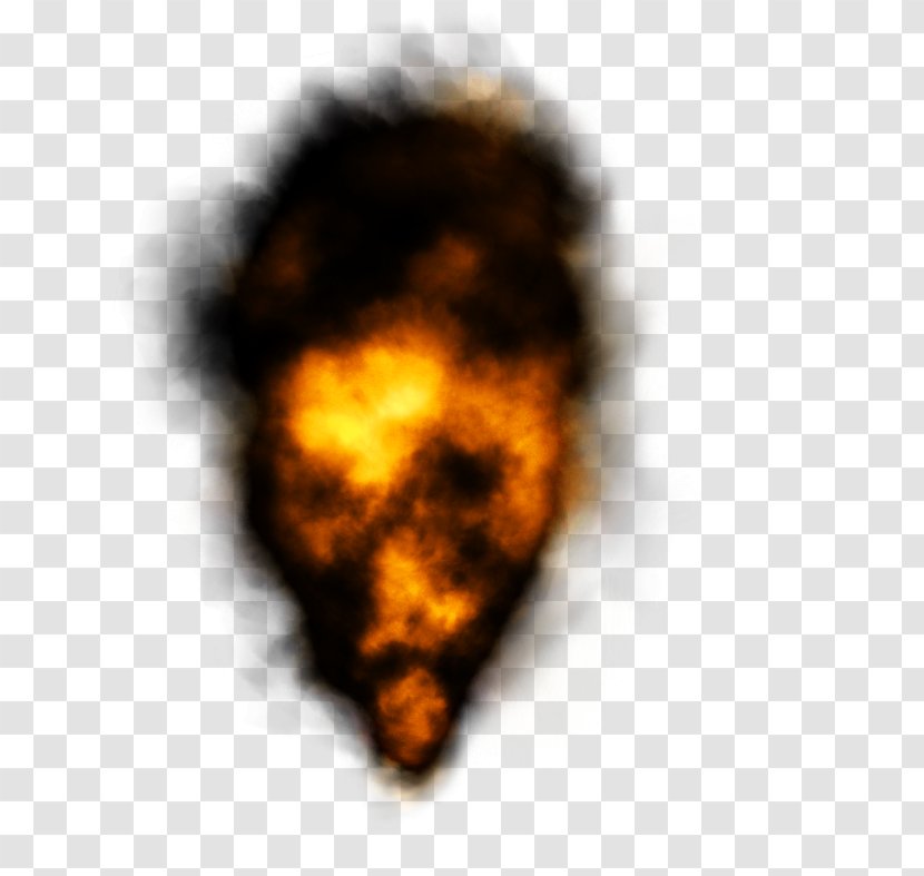 Portgas D. Ace Explosion Fire - Flower - Exploding Transparent PNG