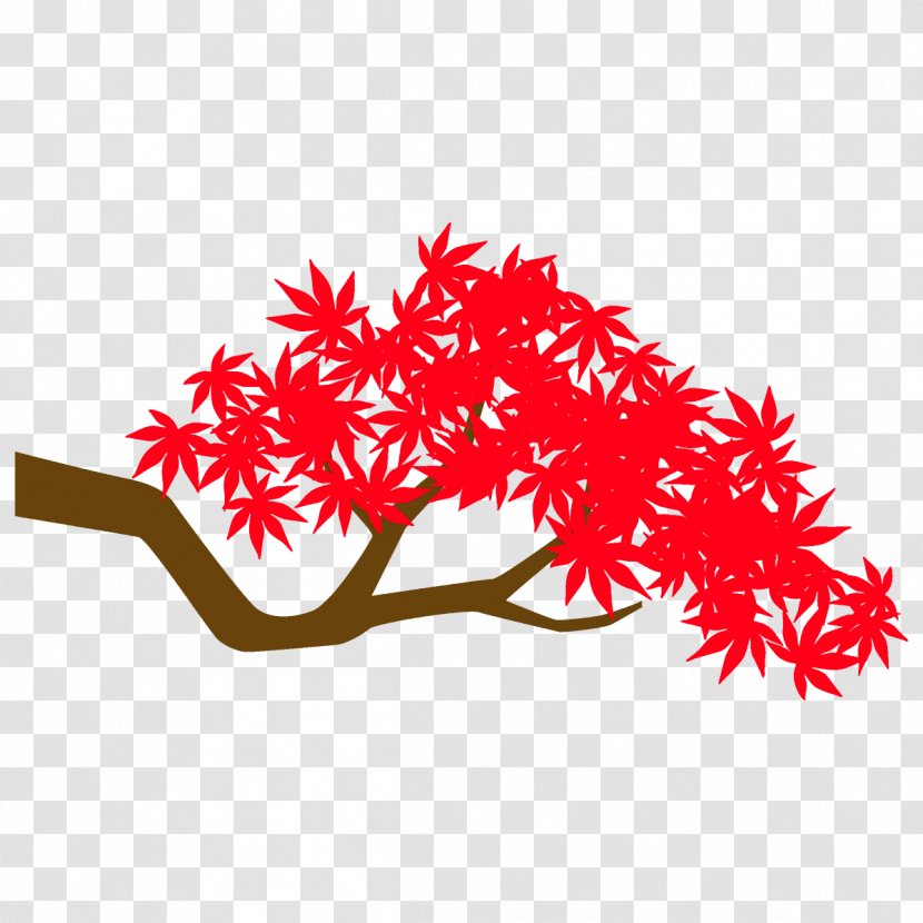 Maple Branch Leaves Autumn Tree - Twig Flower Transparent PNG
