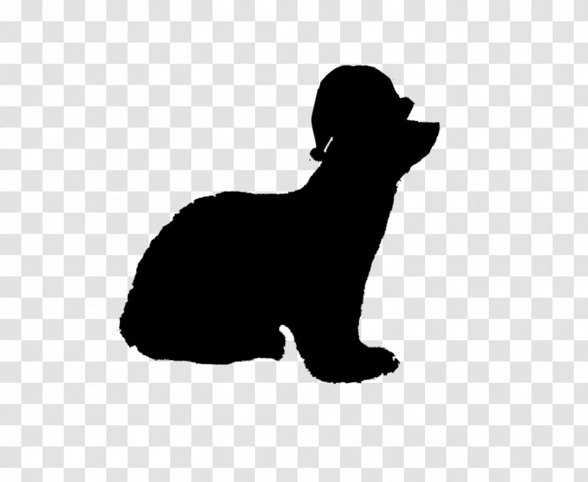 Whiskers Puppy Dog Breed Cat - Black M - Sporting Group Transparent PNG