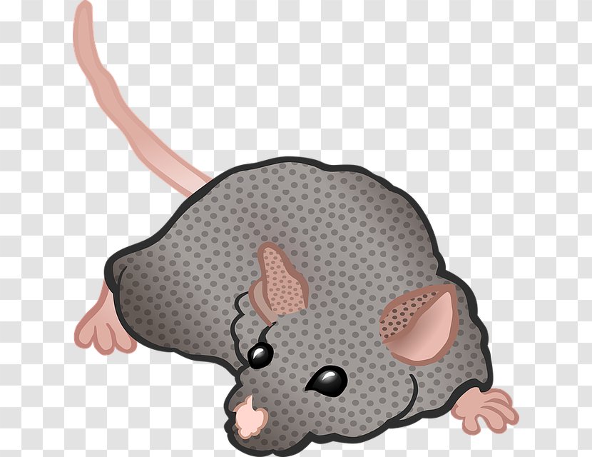 Rat Mickey Mouse Minnie Clip Art - Rodent Transparent PNG