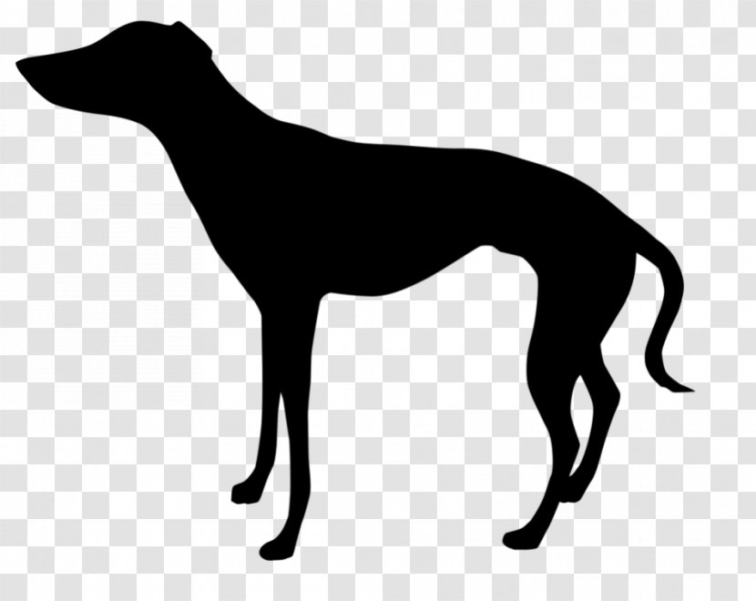 Italian Greyhound Whippet Clip Art Silhouette - Polish Transparent PNG