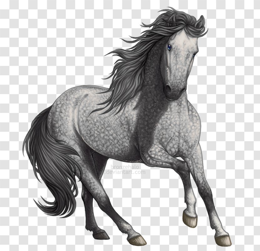 Horse Mane Gray Drawing DeviantArt Transparent PNG