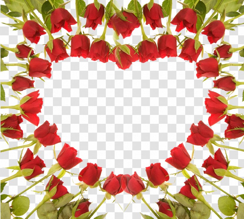 Rose Flower Gift Desktop Wallpaper - Flowering Plant - Red Wedding Transparent PNG