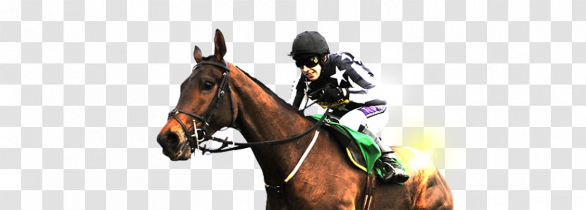 Stallion Jockey Horse Racing Mustang Bridle - Trainer - Race Transparent PNG