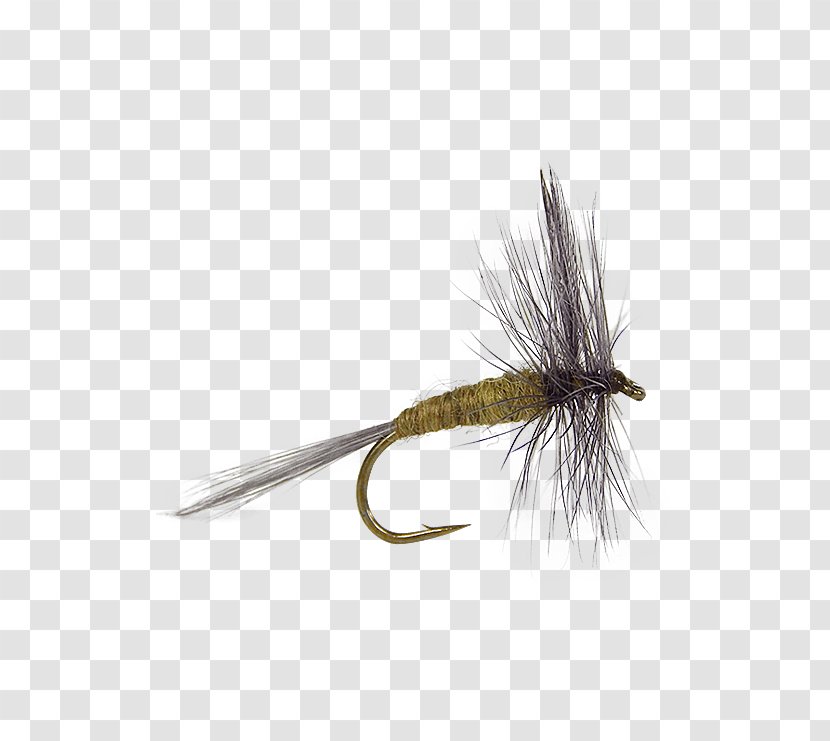 Artificial Fly Dry Fishing Tying - Flies For Trout Transparent PNG