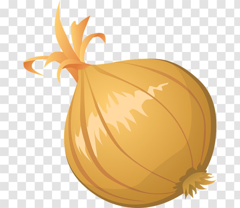 Onion Free Content Clip Art - Pumpkin - Vector Clipart Transparent PNG