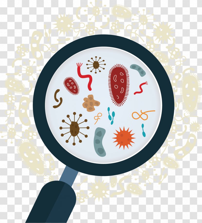 Vector Graphics Stock Illustration Microorganism Bacteria - Microbiology Transparent PNG