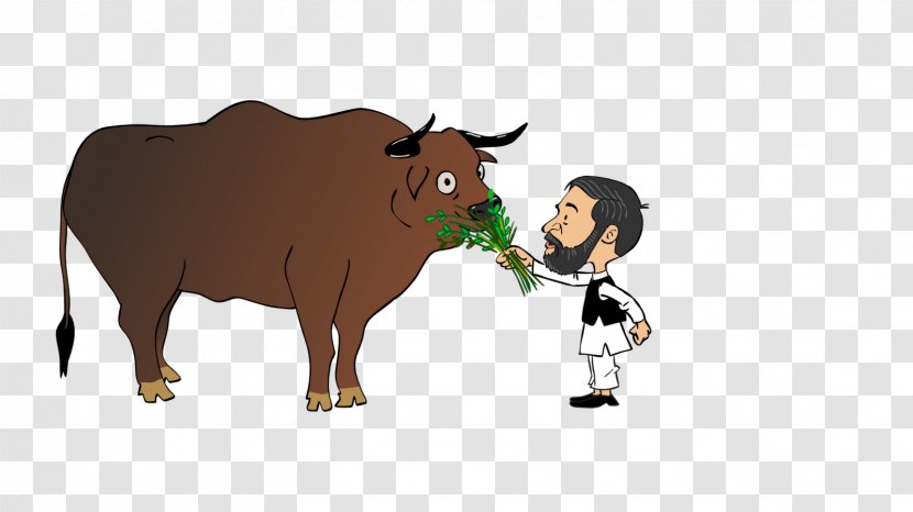 Dairy Cattle Ox Bull Transparent PNG
