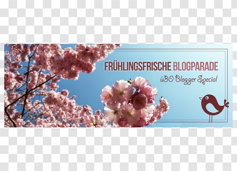 Blogger Fashion Blog Google March Equinox - Hello Spring Transparent PNG