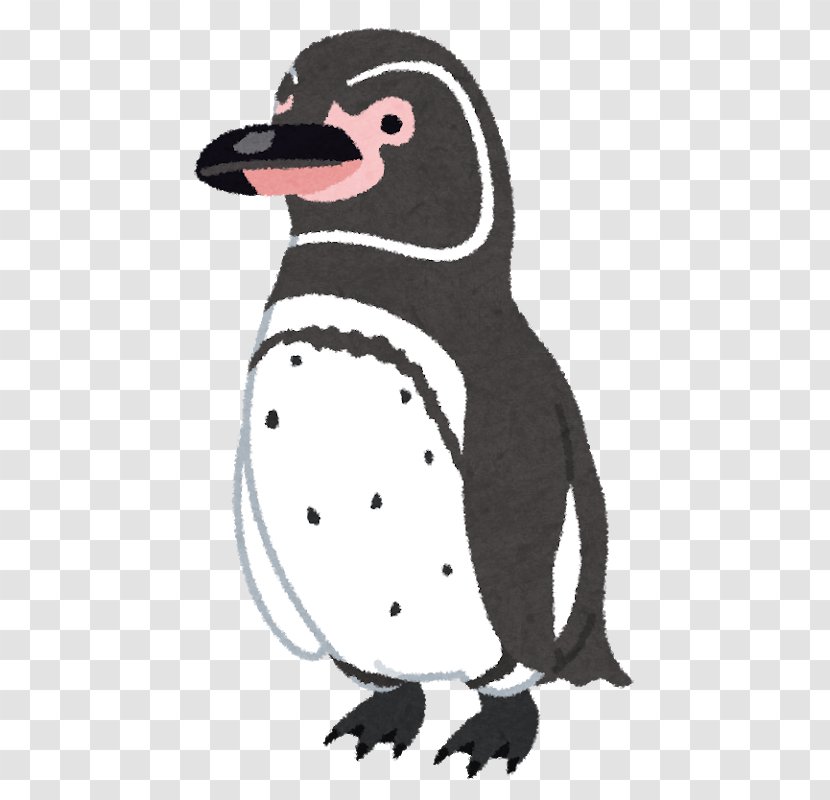 Galapagos Penguin New Year Card Magellanic - Beak Transparent PNG