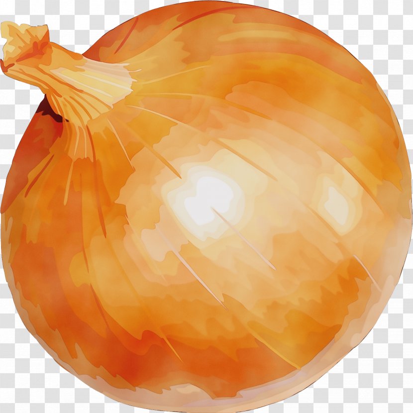 Orange - Paint - Peach Vegetarian Food Transparent PNG