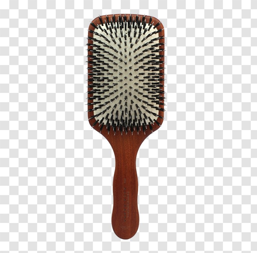 Brush Bristle Comb Hair Wild Boar Transparent PNG