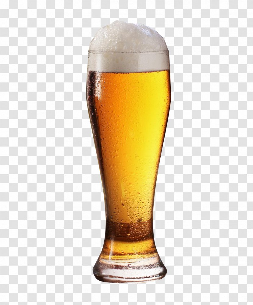 Beer Glassware - Mug - Glass Transparent PNG