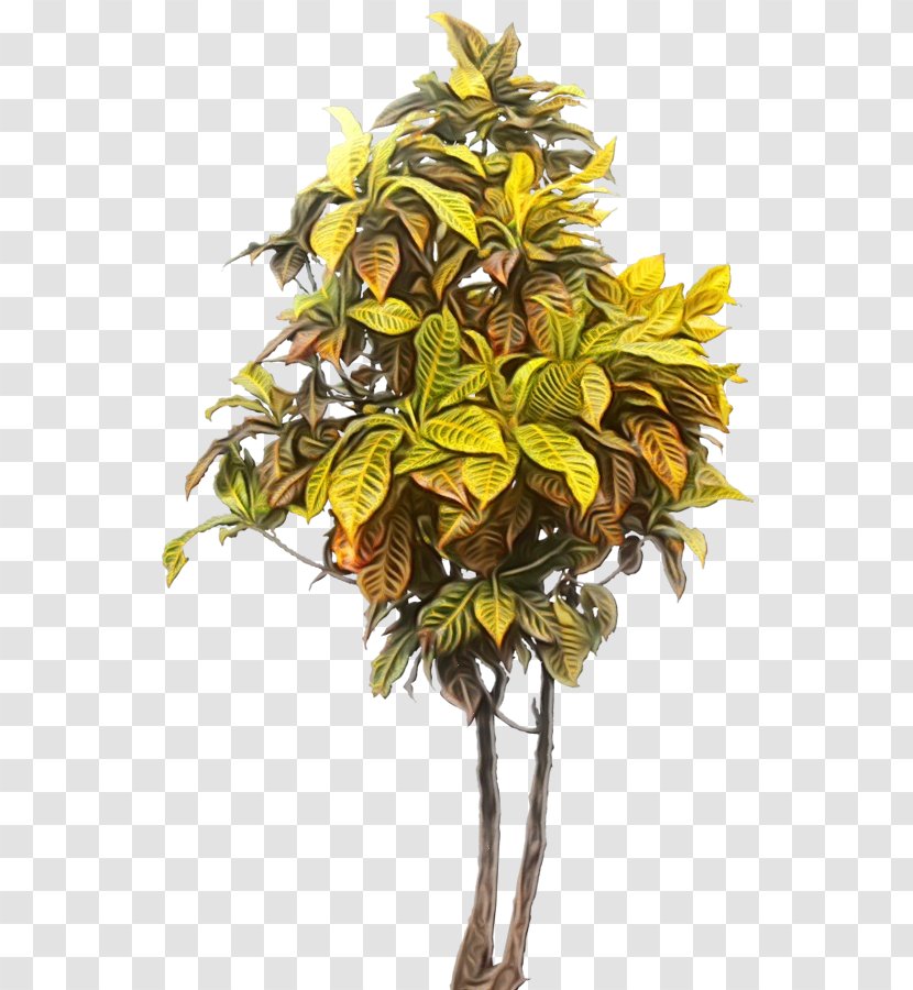 Watercolor Flower Background - Plants - Plant Stem Leaf Transparent PNG