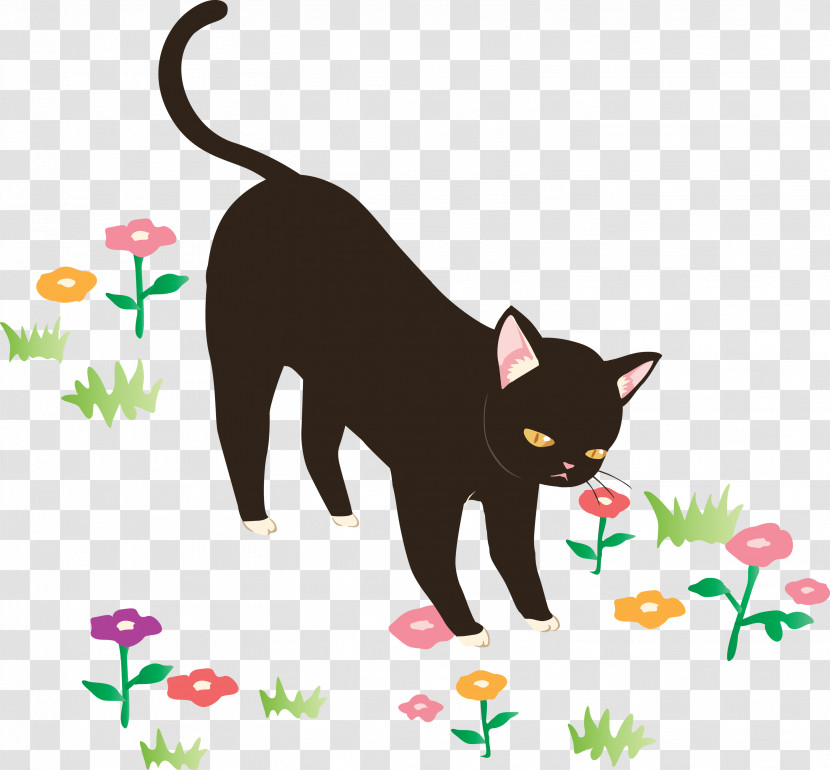 Cat Black Cat Small To Medium-sized Cats Tail Cartoon Transparent PNG