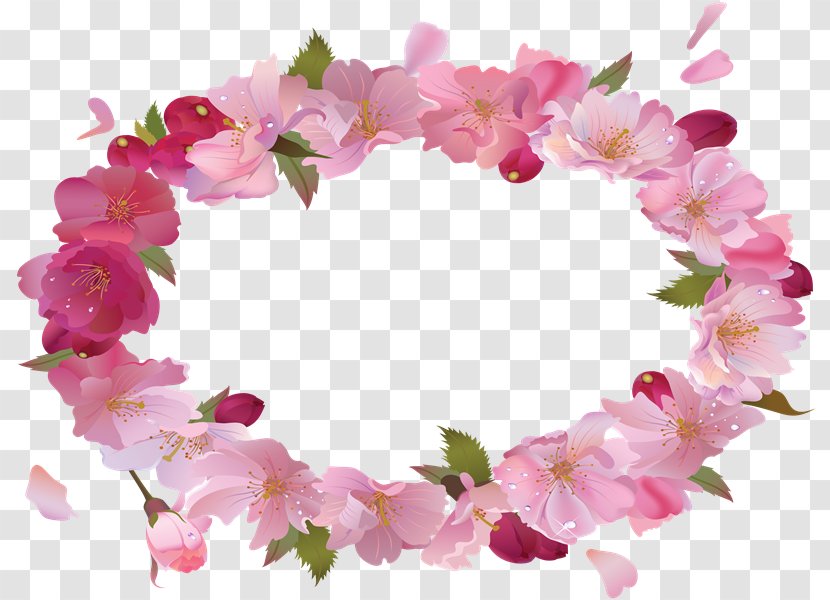 GIMP Photography Floral Design - Microsoft Photo Editor - Flower Transparent PNG