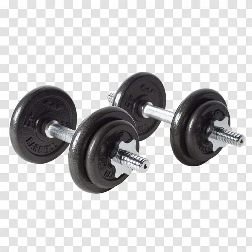 Dumbbell Weight Training Bench Exercise Equipment Physical - Strength Transparent PNG