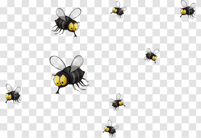 Honey Bee Paper Wallpaper - Scrapbooking - Painted Black Flies Transparent PNG