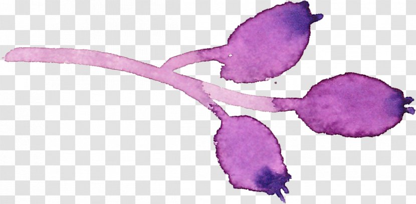 Watercolor Painting Flower - Magenta - Gouache Purple Berries Transparent PNG