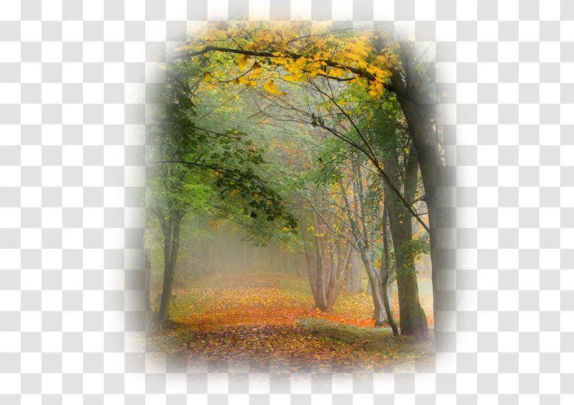 Painting Landscape Desktop Wallpaper Picture Frames - Autumn Transparent PNG