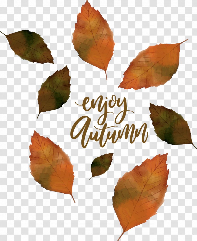 Euclidean Vector Leaf Mushroom - Orange - Autumn Leaves Falling In The Fall Transparent PNG