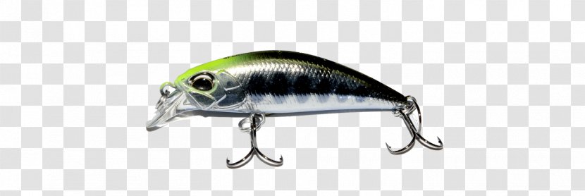 Mail Order プロショップオオツカ熊谷店 Internet 通信 HKG:0006 - Trout Transparent PNG