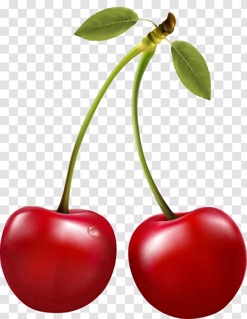 Sour Cherry Berry Clip Art Transparent PNG