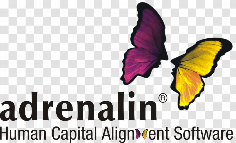 Human Resource Management System Adrenalin ESystems Business Computer Software - Payroll Transparent PNG