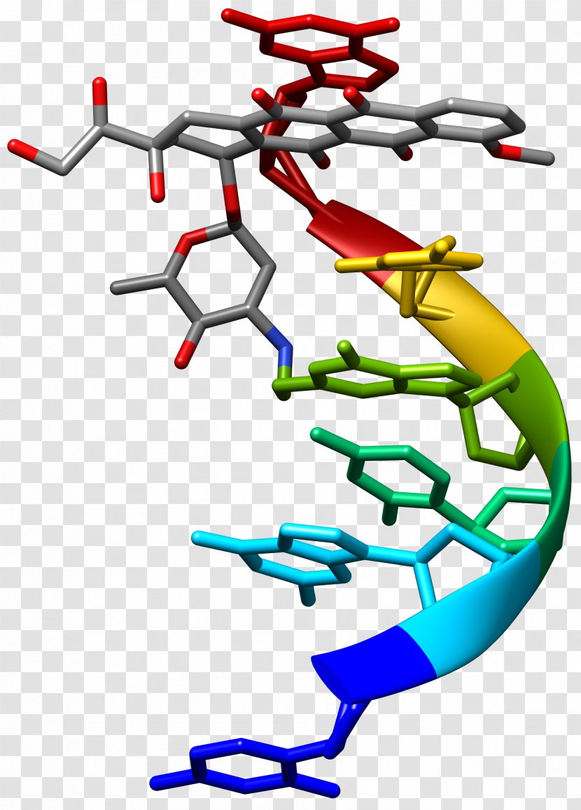 Medicinal Chemistry Ligand Molecule Crystal Structure - Dna Human Transparent PNG