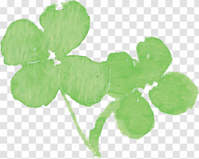 Shamrock Transparent PNG