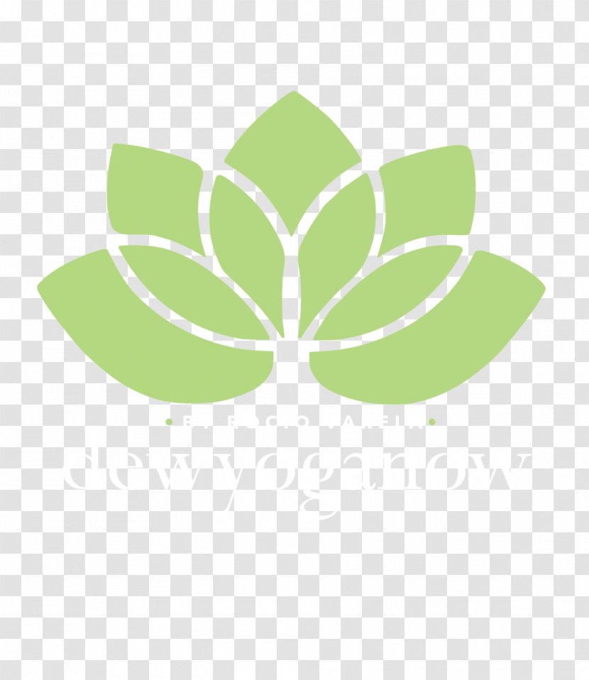 Nelumbo Nucifera Therapy United States Mental Health Disorder - Lotus Flower Transparent PNG