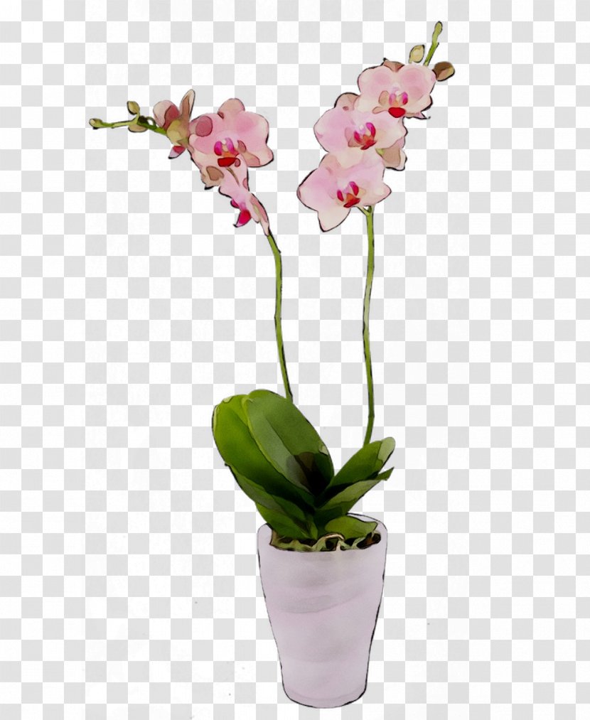 Moth Orchids Cut Flowers Cattleya Flowerpot - Artificial Flower - Dendrobium Transparent PNG