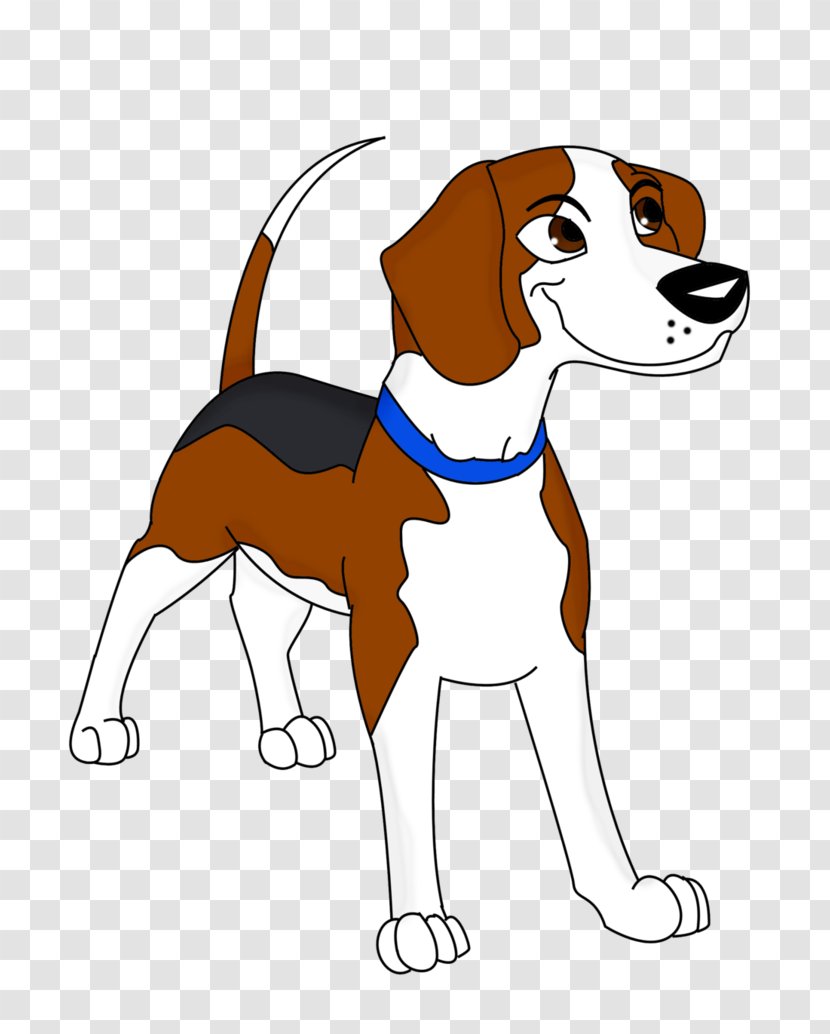 Beagle English Foxhound American Harrier Treeing Walker Coonhound Leash Puppy Transparent Png