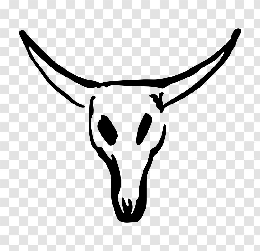 Texas Longhorn Skull Clip Art - Snout - Line Transparent PNG
