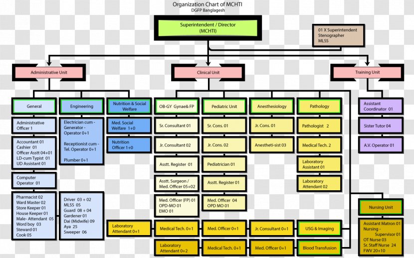 Organizational Chart Structure Diagram - Number - Organization Transparent PNG