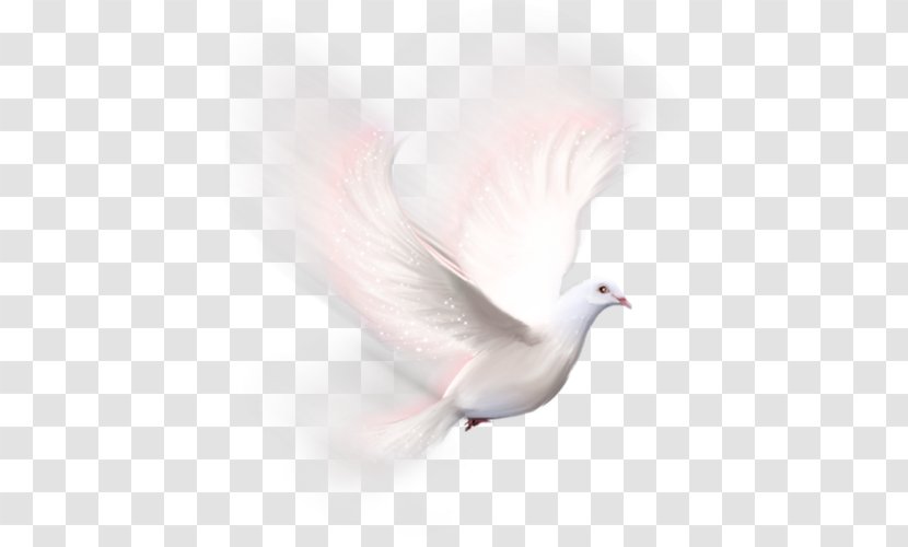 Animation Microsoft Photo Editor Transparent PNG