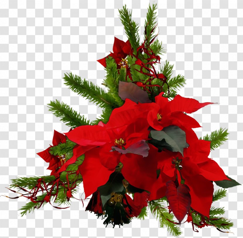 Christmas Decoration - Plant - Artificial Flower Cut Flowers Transparent PNG