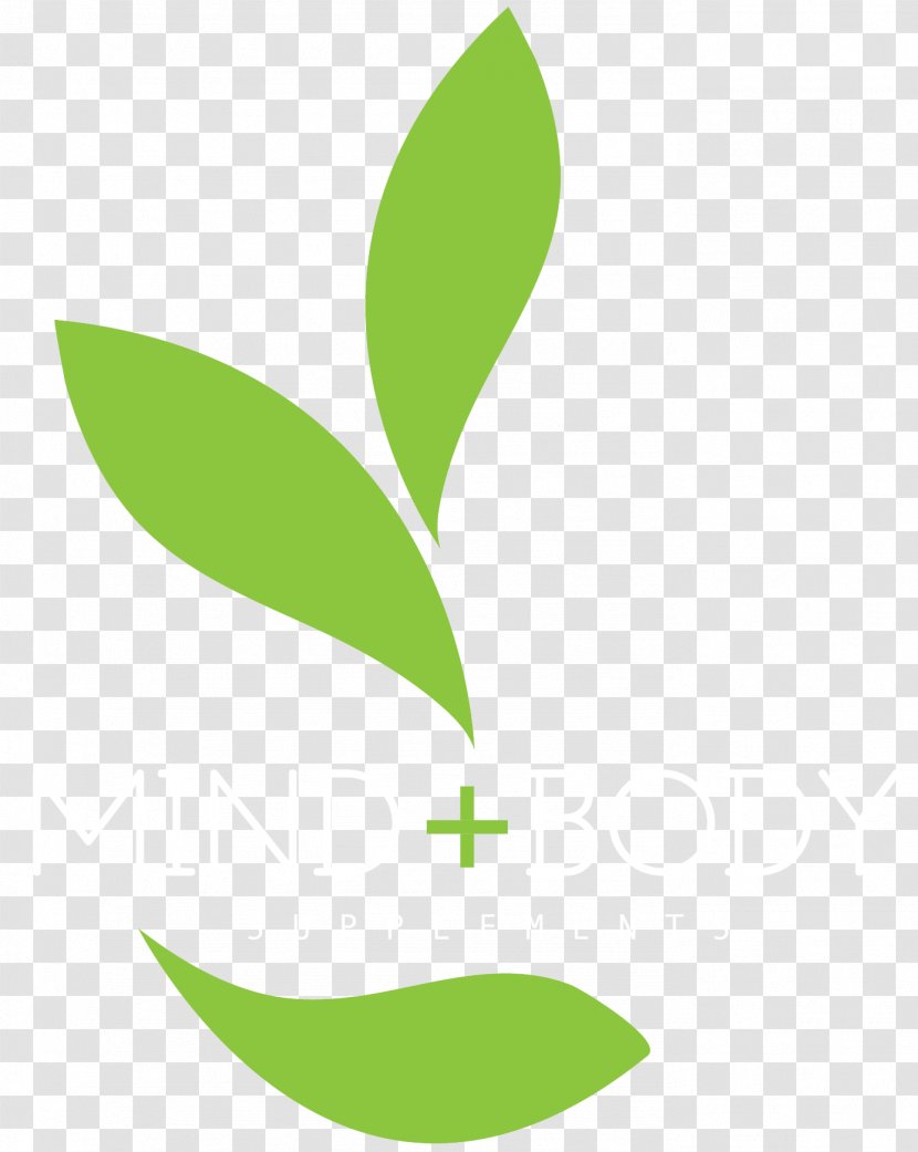 Leaf Logo Brand Font - Plant Stem Transparent PNG