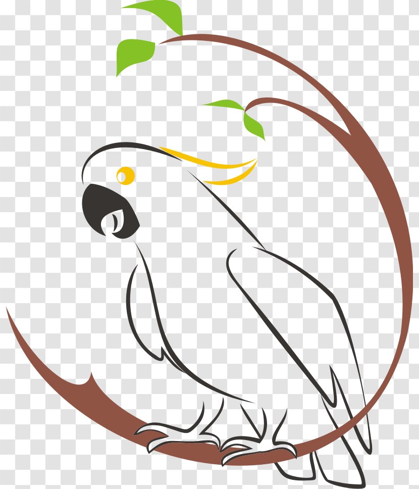 Cockatoo Logo Clip Art - Artwork - Tempalte Vector Transparent PNG