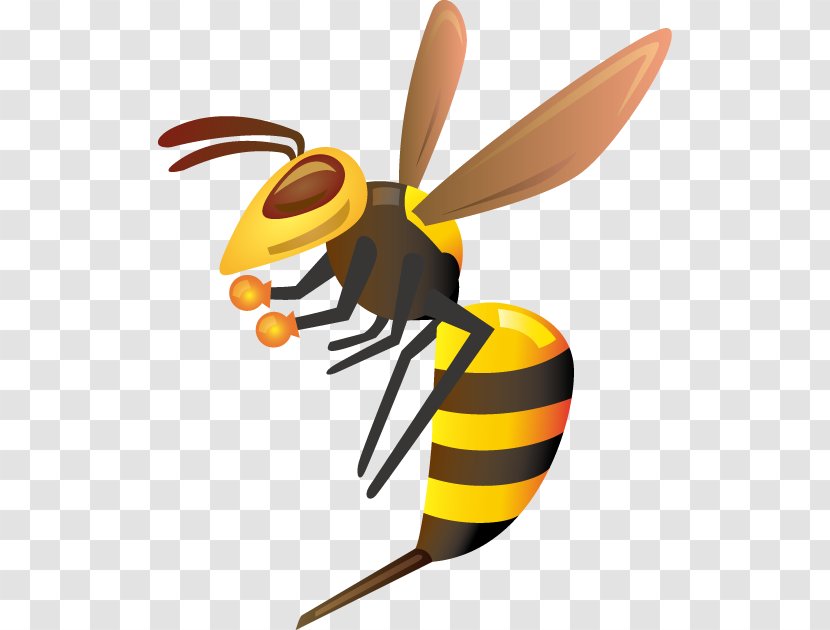 True Wasps Hornet 株式会社 熊本美水 Insect - Cartoon Transparent PNG