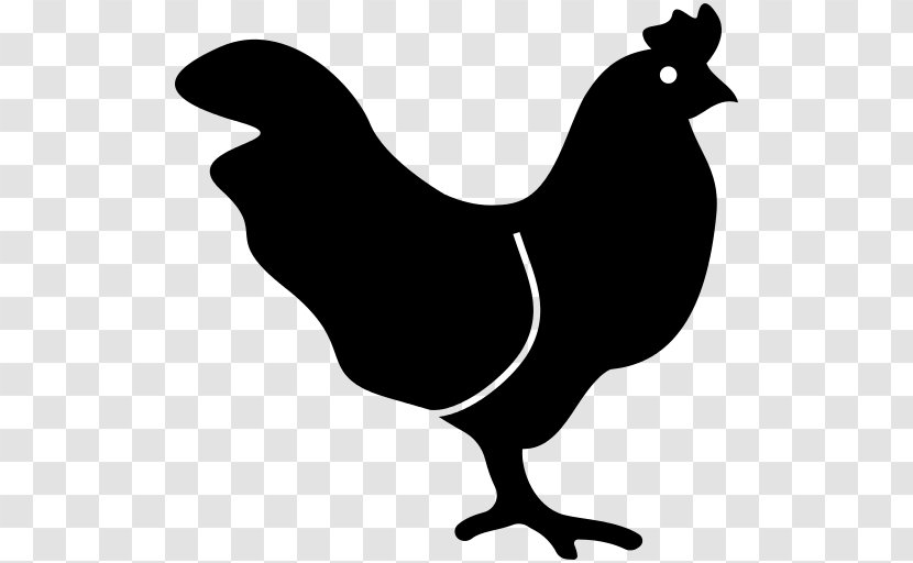 Chicken - Beak - Drawing Chick Transparent PNG