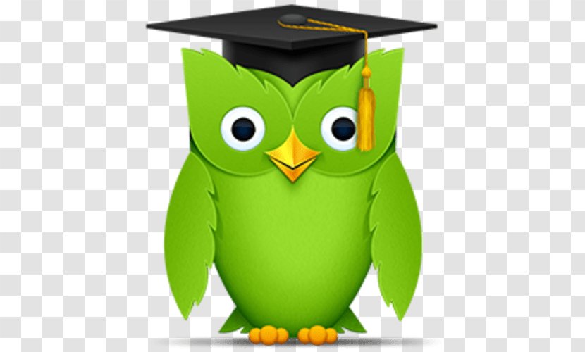 Duolingo Bird - Mortarboard - Of Prey Transparent PNG