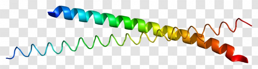 Line Point AP-1 Transcription Factor Font - Text Transparent PNG