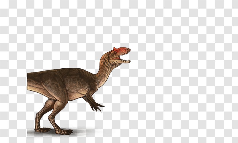 Tyrannosaurus Allosaurus ARK: Survival Evolved Spinosaurus Dinosaur Transparent PNG