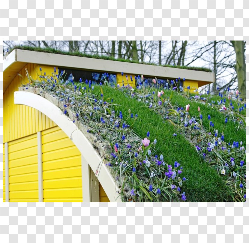 Green Roof Garden Greenhouse - Greening - Wildflower Transparent PNG