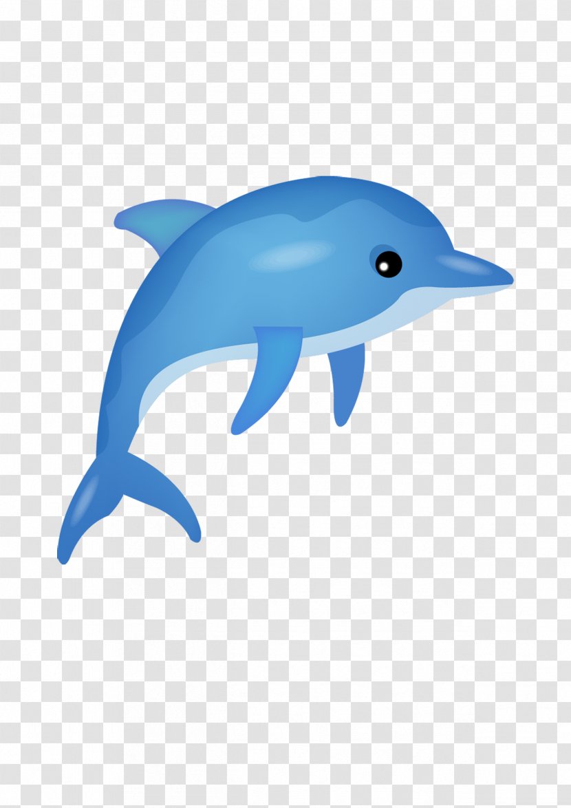 Dolphin Cartoon Poster Transparent PNG