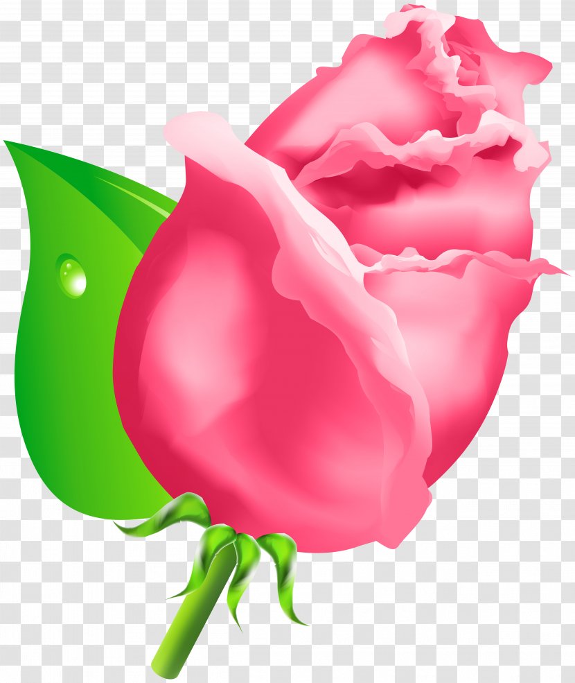 Rose Bud Clip Art - Wreath Flower Transparent PNG