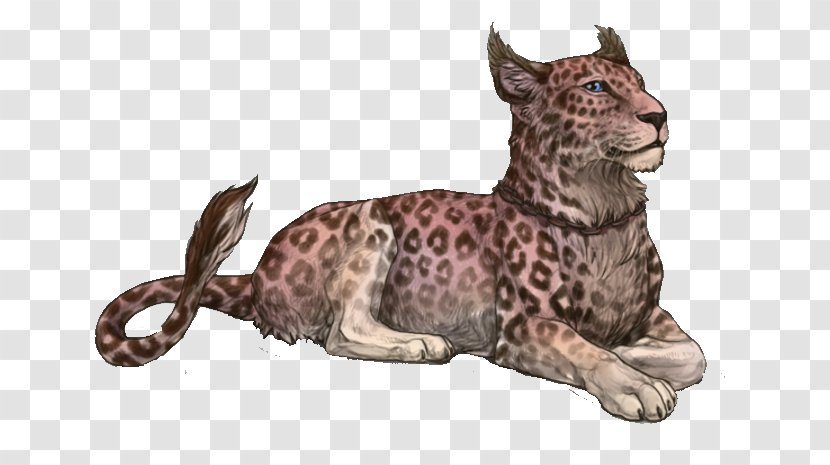 Cheetah Big Cat Leopard Rose - Carnivoran Transparent PNG