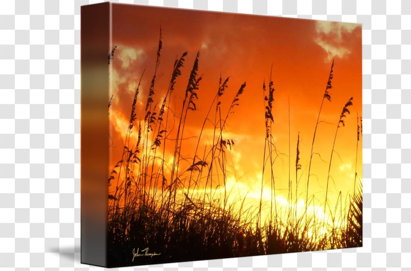 Desktop Wallpaper Stock Photography Heat Ecosystem - Computer Transparent PNG