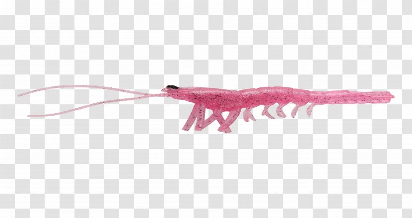 Reptile Pink M RTV - Rtv - Exaggerated Movements Transparent PNG